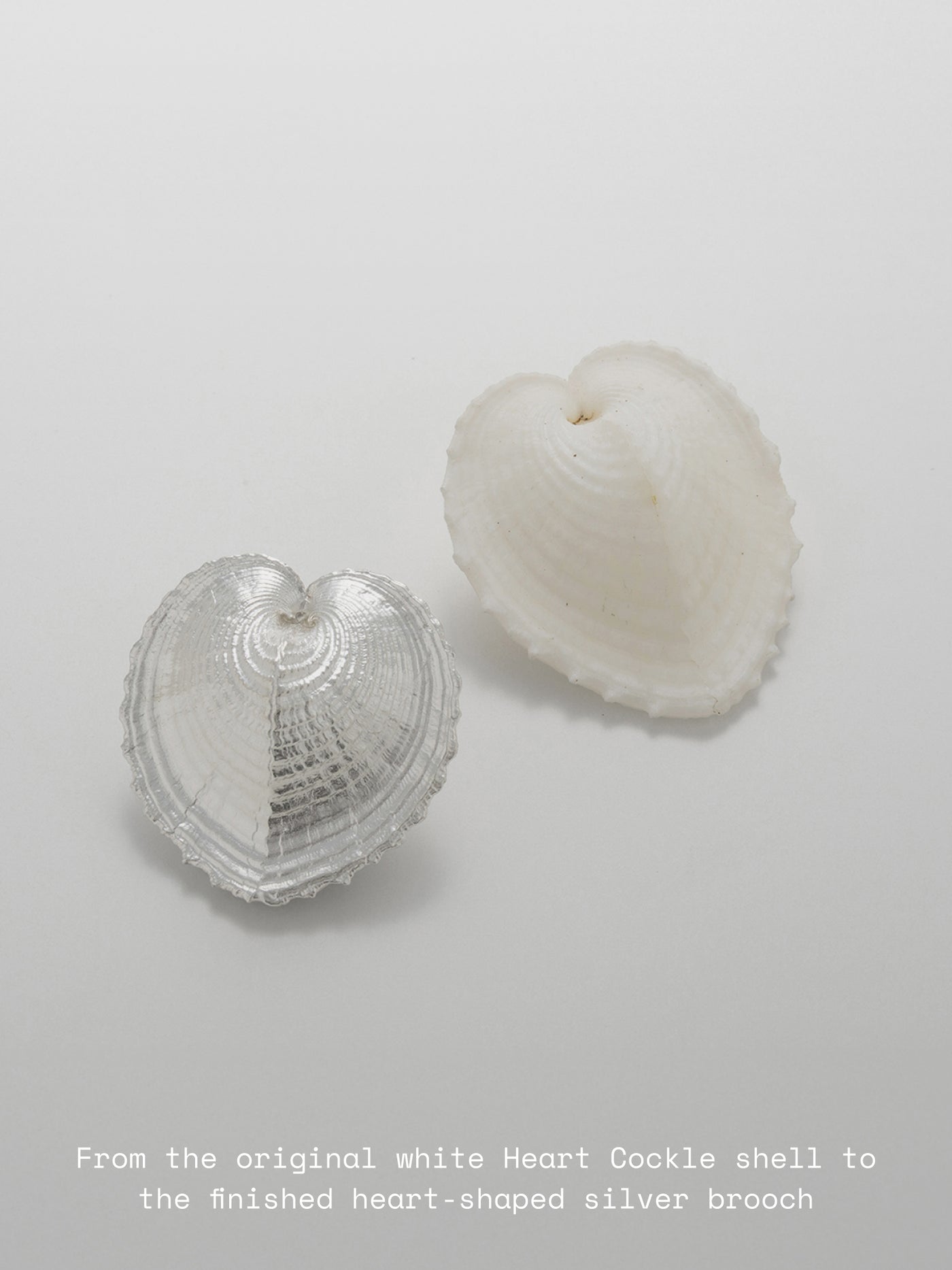 Shell Heartbeat Brooch